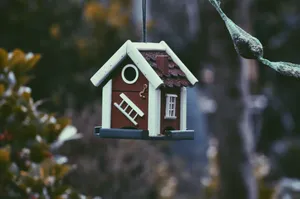  什么是保证续保？封面