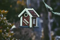  什么是保证续保？